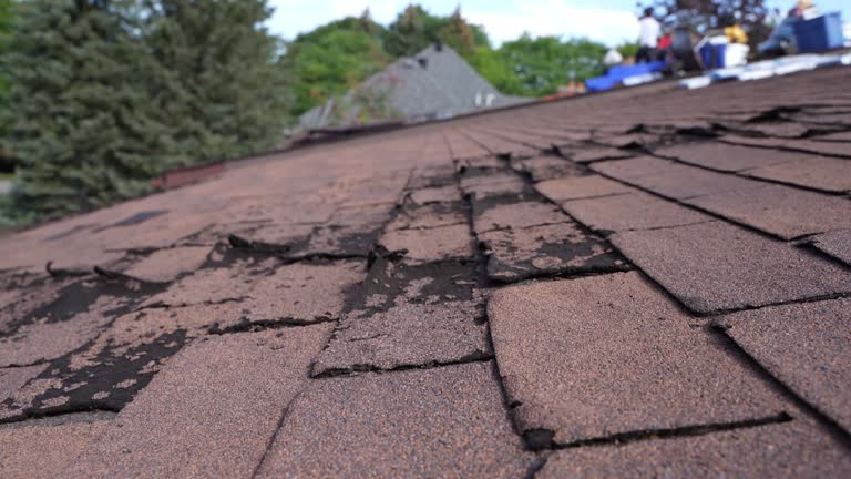 Best Emergency Roof Repair Services  in Pasadena Hills, MO