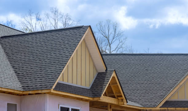 Best Roof Moss and Algae Removal  in Pasadena Hills, MO